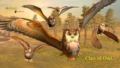 How to cancel & delete Clan Of Owl from iphone & ipad 1