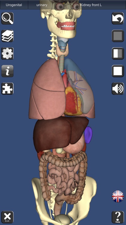 3D Anatomy screenshot-7