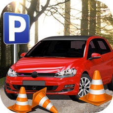 Activities of Parking Driving-Car Training