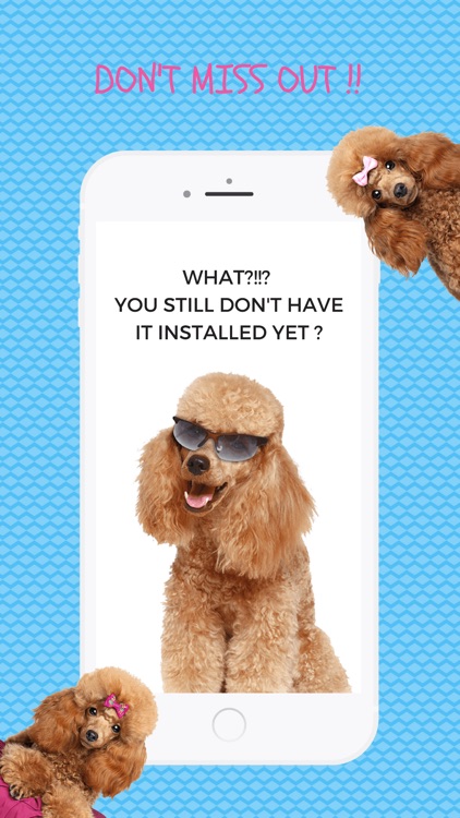 Poodle Fun Emoji Stickers screenshot-3