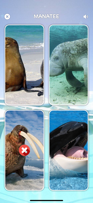 Sea Animals & Wold for Toddler(圖3)-速報App