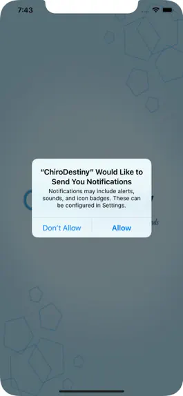 Game screenshot ChiroDestiny mod apk