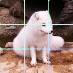 Animal - Sliding Square Puzzle