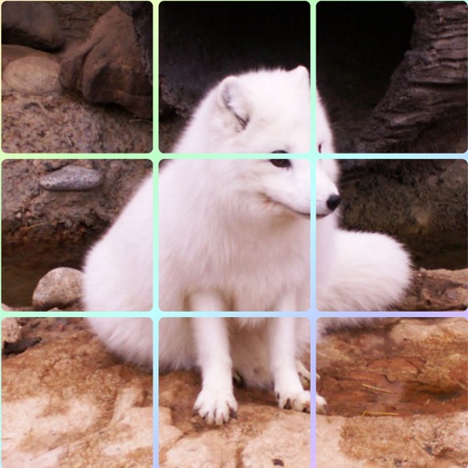 Animal - Sliding Square Puzzle icon