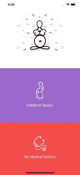 Game screenshot Childbirth Basics mod apk