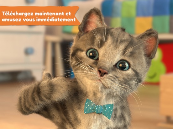 Petit Chaton Mon Chat Préféré Petit Chaton Mon Chat Préféré