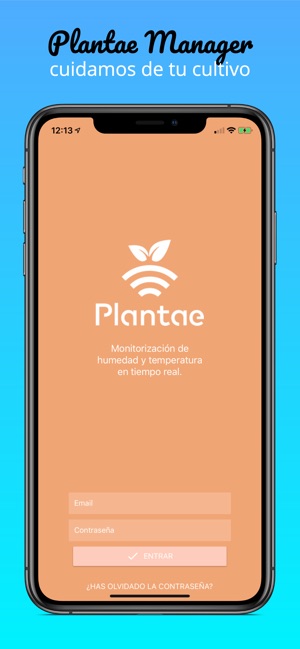 Plantae