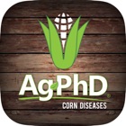 Corn Diseases