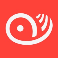 鱼和熊掌-发现有趣、发现价值 pour PC