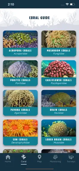 Game screenshot Coral Whitsundays apk