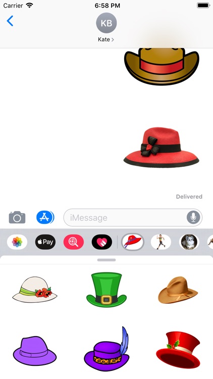 Hats Collection