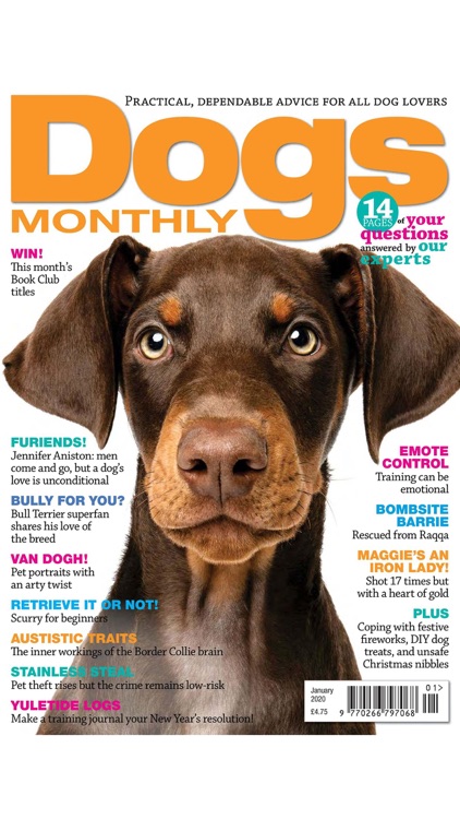 Dogs Monthly Magazine