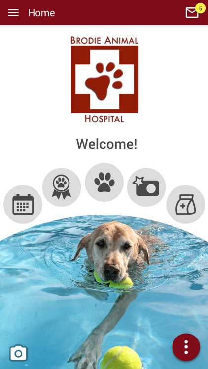 Brodie Vet by Brodie Animal Hospital Incorporated