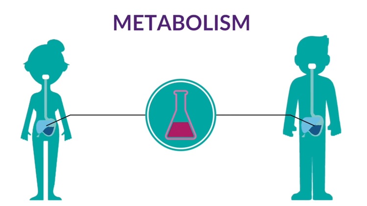 inherited-metabolic-disorders-by-elearning-studios