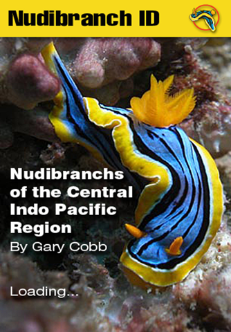Nudibranch ID Indo Pacific - náhled