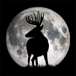 Free Deer Hunting Moon Chart