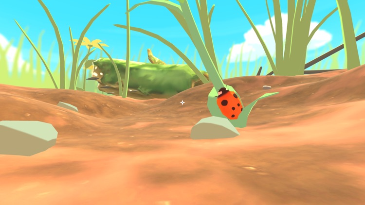 PI VR Insects