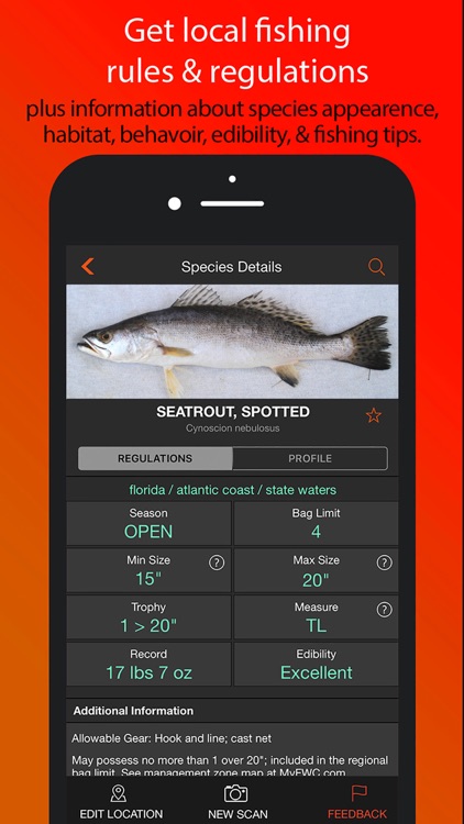FishVerify: Florida Fish ID