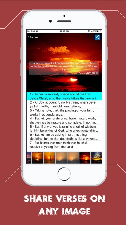 Rotherham Emphasized Bible screenshot-5