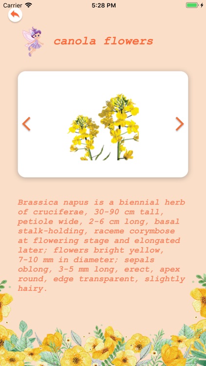 FlowerWords screenshot-3