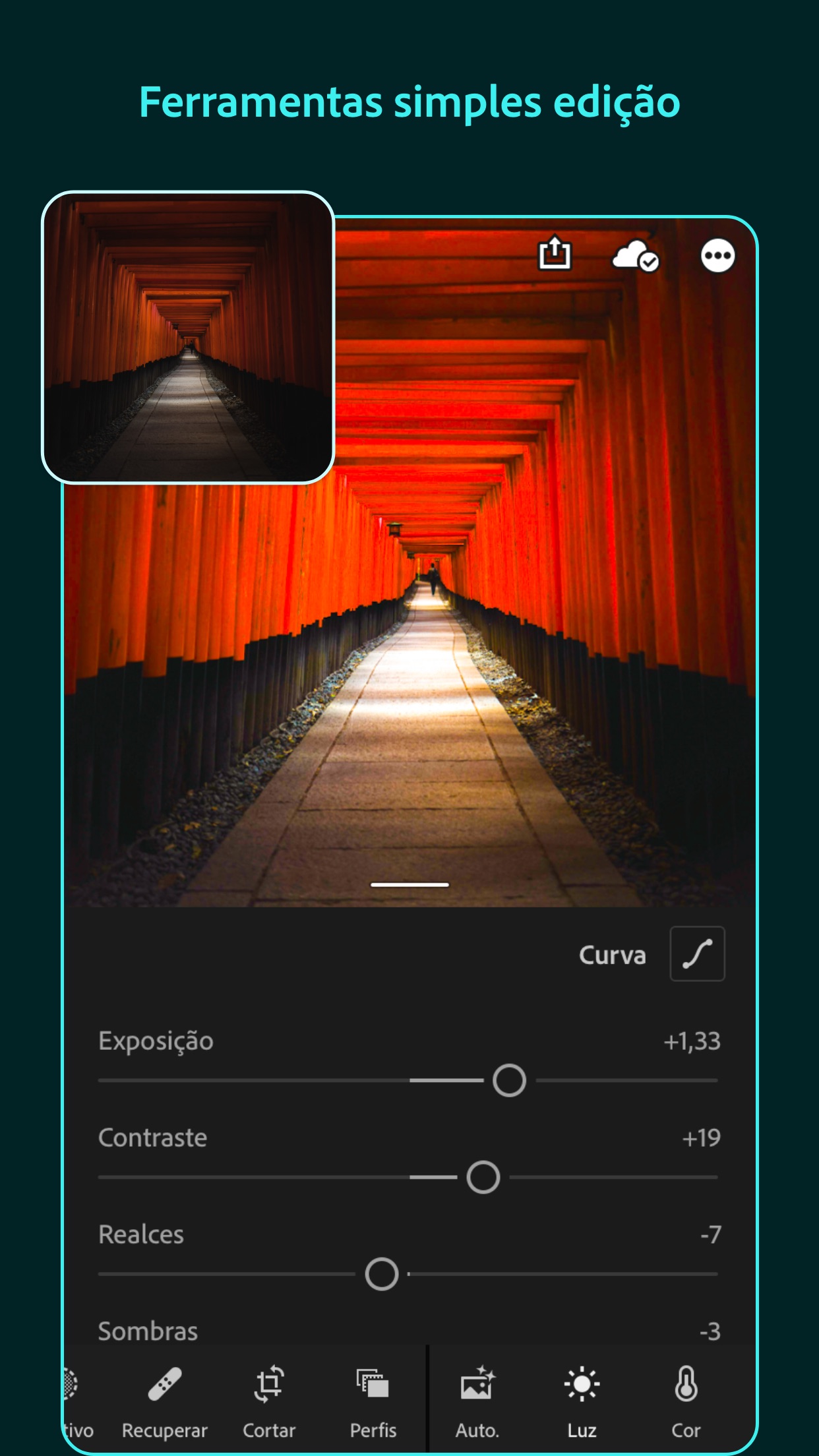 Screenshot do app Adobe Lightroom: Editar Fotos