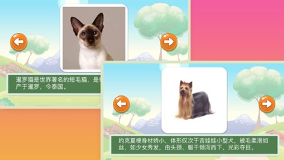 浣熊博士认知课堂 - 认识世界名猫和名犬的中文简体版APPのおすすめ画像4