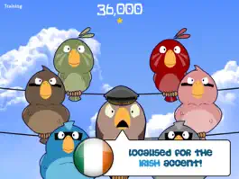 Game screenshot Feather Squadron: Ireland mod apk