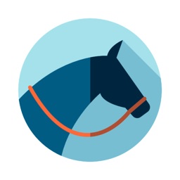 Horse Quiz Game 2019