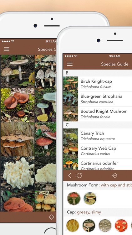 Mushrooms PRO - Hunting Safe