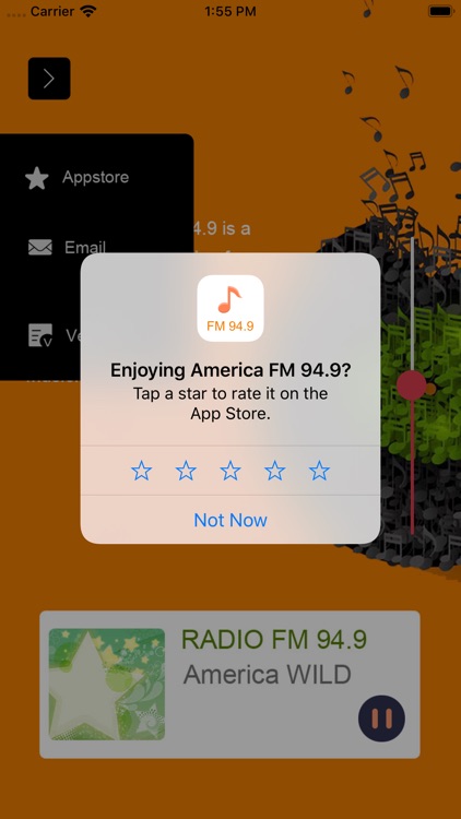 America FM 94.9 screenshot-3