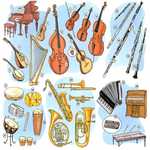 Musical Instruments Names