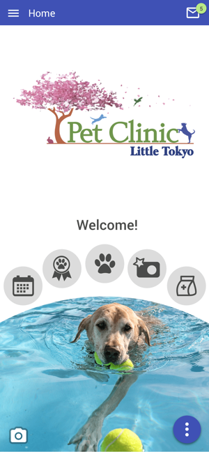 Little Tokyo Pet Clinic