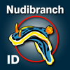 Gary Cobb - Nudibranch ID Eastern Pacific アートワーク