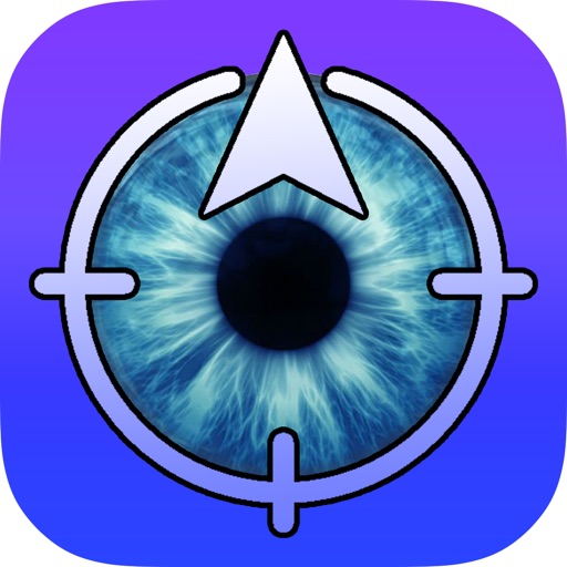 Eye Axis Check Icon