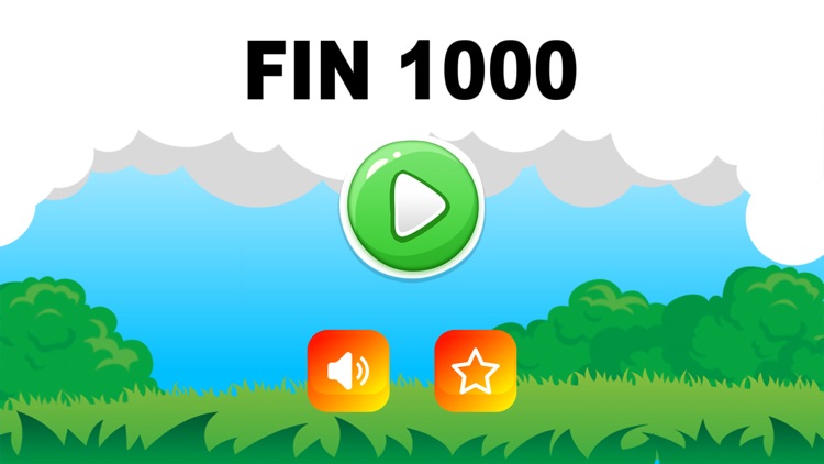 Fin 1000