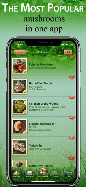 Mushroom Book & Identification(圖6)-速報App