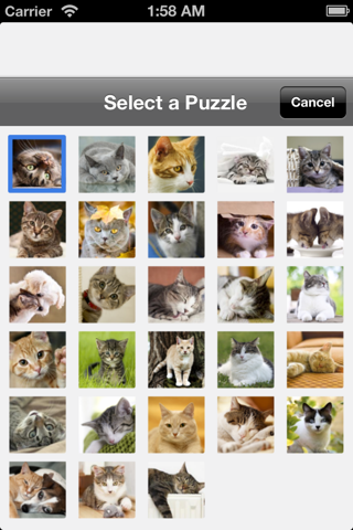 Cat Puzzles - náhled