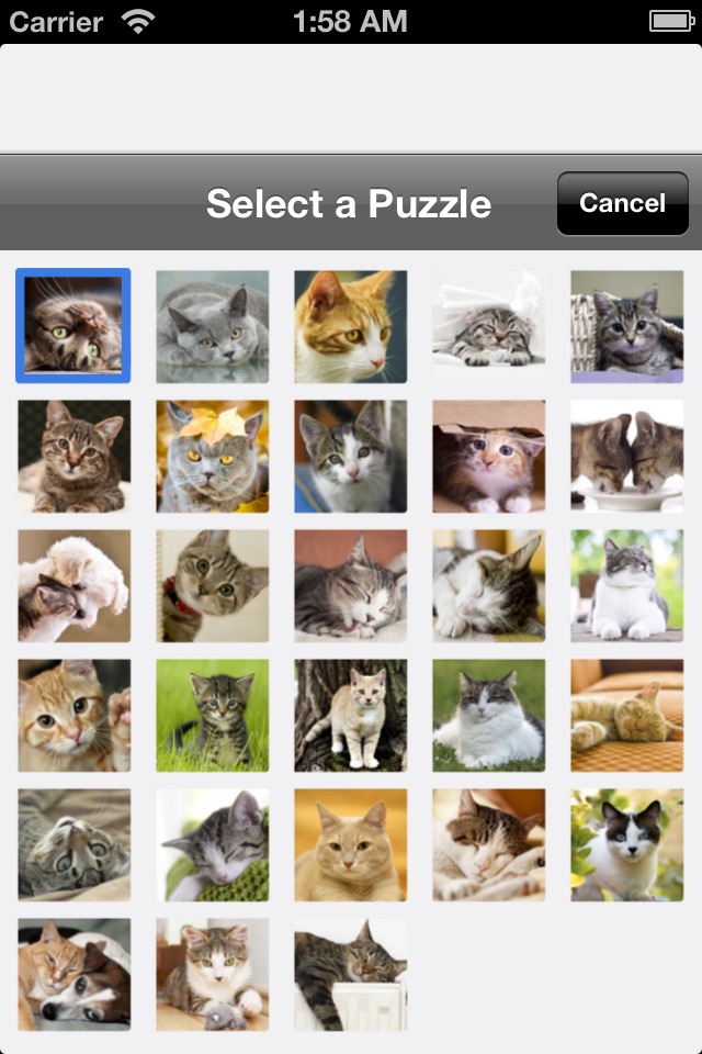 Cat Puzzles screenshot 3