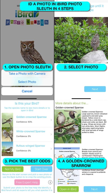 iBird Plus Guide to Birds screenshot-2
