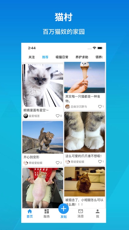 猫村-有爱的宠物猫咪社区