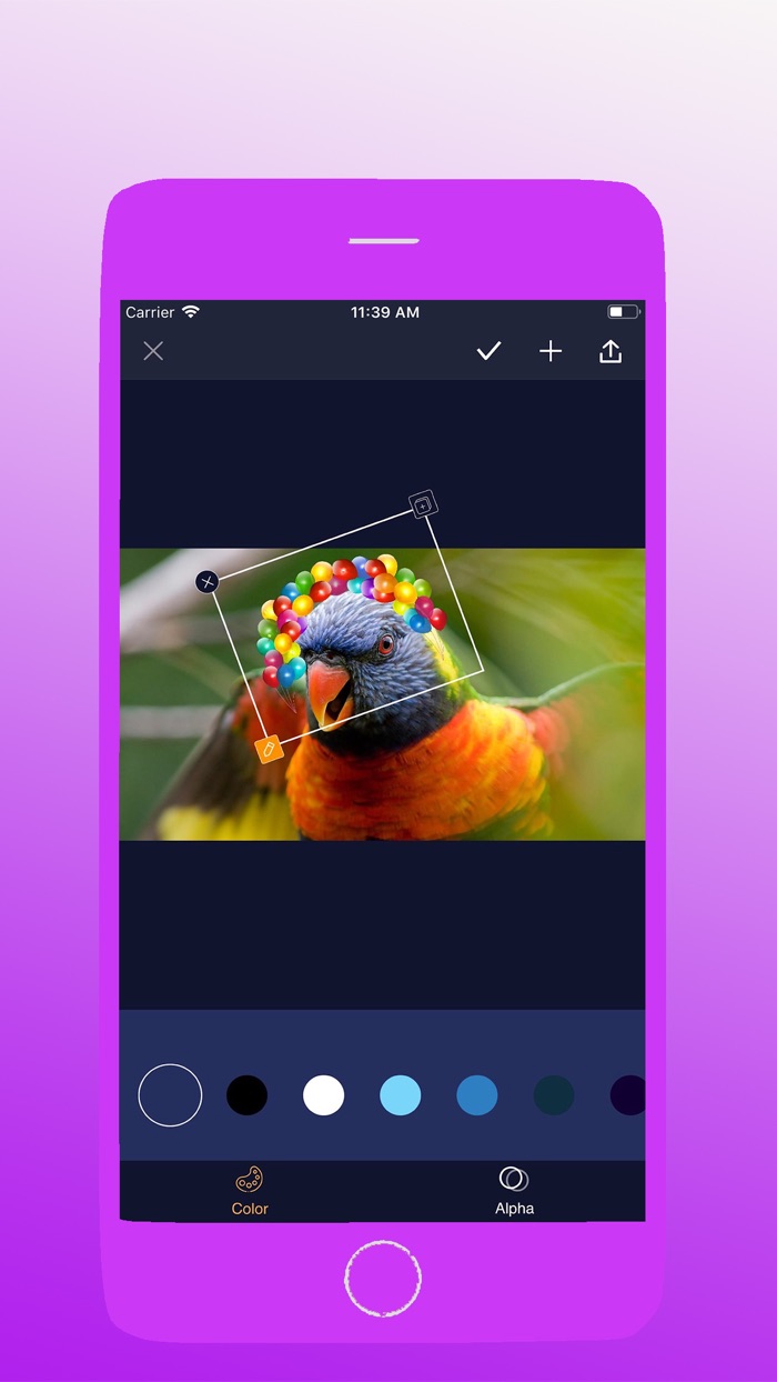 Intro Make Cool Photos