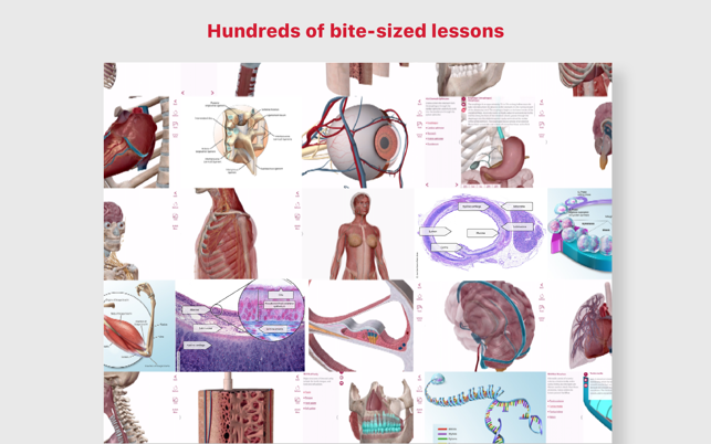 ‎Anatomy & Physiology Screenshot