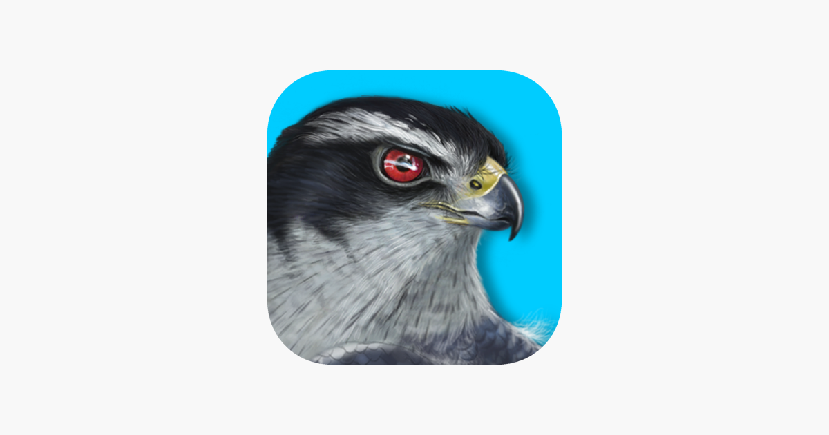 Ibird Plus Guide To Birds