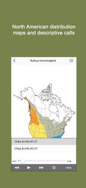 Sibley Guide to Hummingbirds(圖4)-速報App