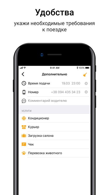 Taxi Tiger in Kiev - 7755 screenshot-3