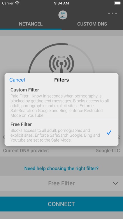 NetAngel - Internet Filter