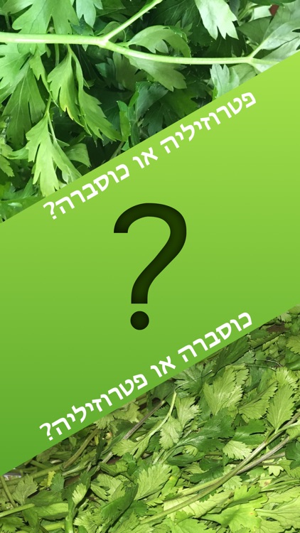 זהה את העלה