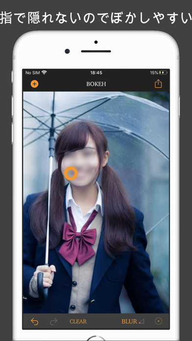 Bokeh ぼかし加工 Iphoneアプリ Applion
