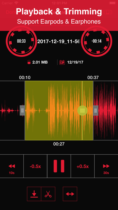Recorder App Pro - Audio Recording, Voice Memo, Trimming, Playback and Cloud Sharing Screenshot 2