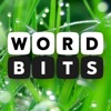 Icon Word Bits: A Word Puzzle Game